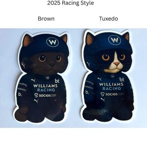 F1 Racing Cat Stickers - Etsy