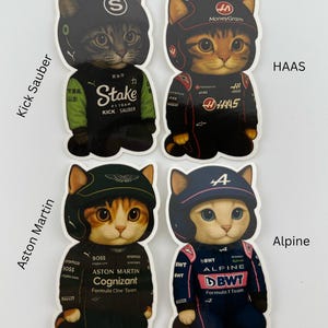 F1 Racing Cat Stickers - Etsy
