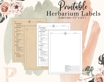 Botanical Labels & Observation Sheet Printable | Herbarium Worksheet PDF | Pressed Flower Journal | Montessori Nature Study | Plant ID