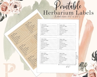 Botanical Plant Labels Printable | Herbarium Pressed Flower Labels | Nature Study Cards - Printable Plant Specimen Labels (PDF Download)