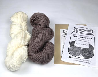 Kit de teinture pour fil nounours, teindre votre propre laine, fil teint à la main, teinture en pot de cornichon, kit de teinture pour fibres protéinées, teinture maison
