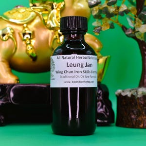Leung Jan  Wing Chun Dit Da Jow