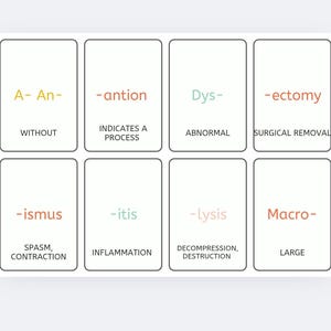 medical terminology printable flashcards