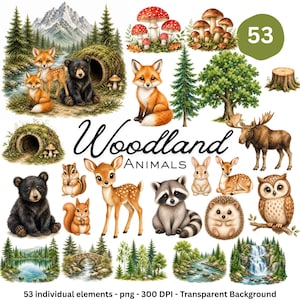 Puede incluir: Ilustraciones en acuarela de animales del bosque, incluyendo zorros, osos, ciervos, un mapache y un búho. La imagen también presenta setas, árboles y escenas de bosque. El texto dice "Woodland Animals" y "53 individual elements".
