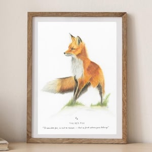 Red Fox Art Print: Hand-Drawn Wildlife Illustration with Inspiring Quote
