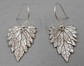 Catnip Leaf Earrings in Fine Silver- Heart Shaped Jewelry- Gardener Cat Lover- Botanical Leaves- Dangle- Plant Parent- Valentine's Day Gift