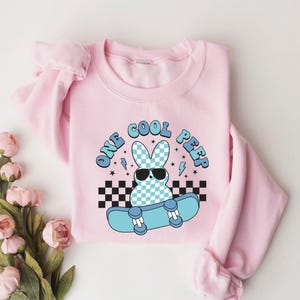 May include: A pale pink sweatshirt featuring a cartoon bunny in sunglasses on a skateboard. The bunny has a blue and white checkered pattern. The text "ONE COOL PEEP" is above the bunny. The design includes lightning bolts.