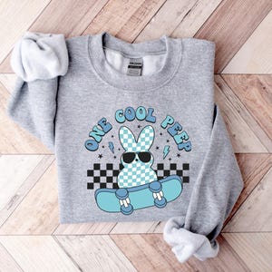 May include: A light grey sweatshirt featuring a bunny wearing sunglasses and riding a skateboard. The text "ONE COOL PEEP" is above the bunny. The bunny has a blue and white checkered pattern.