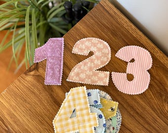 Milestone Numbers/Soft Play Toddler numbers
