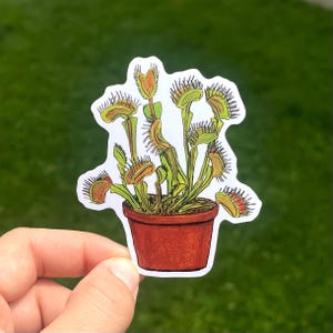 May include: A sticker depicting a hand-drawn Venus flytrap plant in a terracotta pot. The plant has green leaves and reddish-orange traps with spiky edges. The sticker is on a white background.