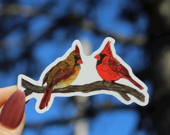 May include: A sticker featuring two cardinal birds perched on a branch. One bird is vibrant red, the other is brown and yellow. The birds are facing each other, with a blue background.