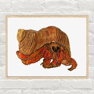 Stampa di paguro disegnata a mano
