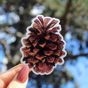 Op de afbeelding: Een sticker met een gedetailleerde illustratie van een dennenappel. De dennenappel is weergegeven in bruintinten, met oranje accenten, en is wit omlijnd. De sticker wordt tegen een vage achtergrond van groen en blauw gehouden.