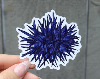 Pegatina de vinilo de erizo de mar dibujado a mano / Calcomanía uni