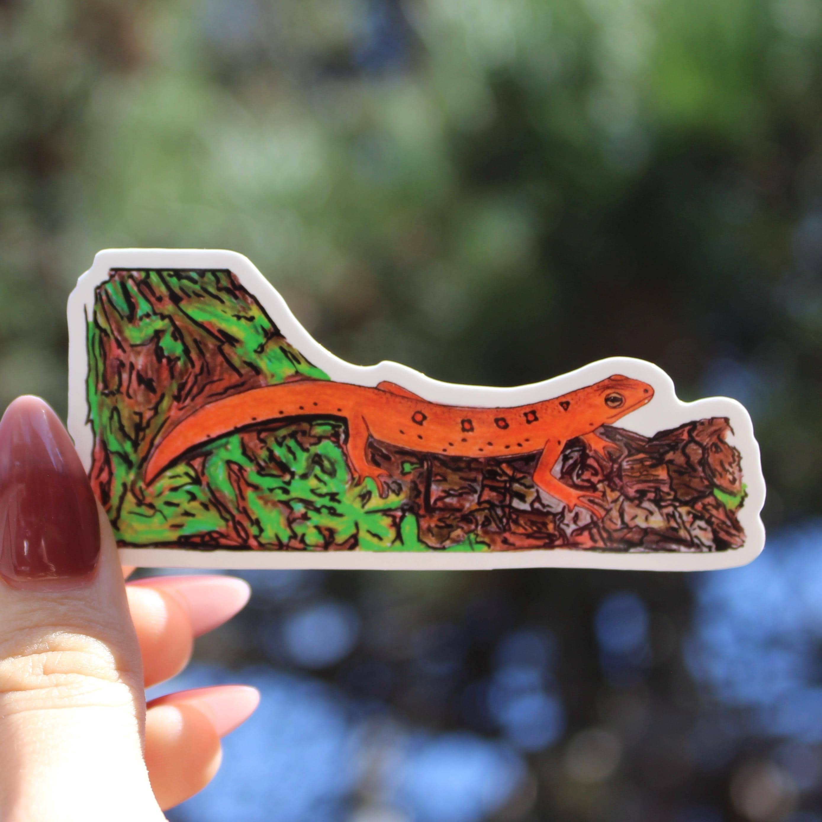 Send Newts Sticker Hand Drawn Eastern Newt Vinyl Sticker | Salamander Laptop Decal - Etsy