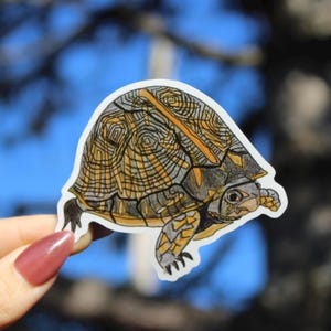 Op de afbeelding: Een sticker met een gedetailleerde illustratie van een schildpad. De schildpad heeft een patroon op de schild in bruin- en geeltinten, met een grijze kop en poten. De sticker wordt tegen een vage blauwe achtergrond gehouden.