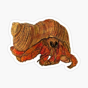 Hermit Crab Sticker