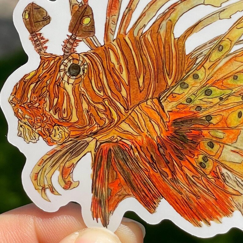 May include: A sticker featuring a detailed illustration of a lionfish. The artwork showcases the fish's vibrant orange, yellow, and brown hues, with intricate fin details and a striking eye. The sticker has a white border.