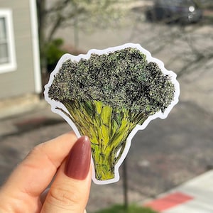 May include: A sticker featuring a detailed illustration of a broccoli floret. The broccoli is depicted with a green and yellow color scheme, with a white border. The sticker is held up against a blurred outdoor background.