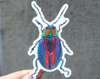 Handgezeichneter Käfer-Vinylaufkleber | Regenbogen-Käfer-Aufkleber