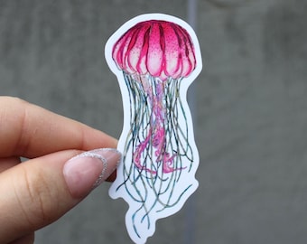 Pegatina de vinilo de medusa dibujada a mano / Calcomanía de animal rosa
