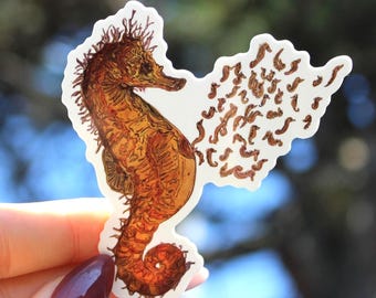 May include: A detailed sticker featuring a seahorse illustration in shades of brown and orange. The seahorse has a textured appearance and is set against a white background. The sticker is held up against a blurred background.