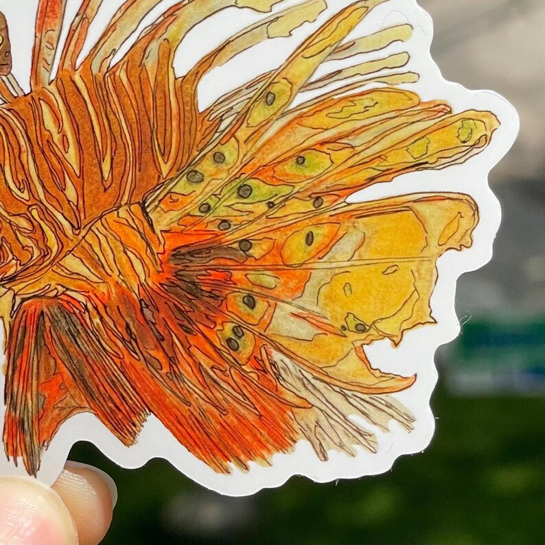 May include: A sticker featuring a detailed illustration of a lionfish. The artwork showcases vibrant orange, yellow, and green hues, with intricate line work defining the fins and body. The sticker has a white border.