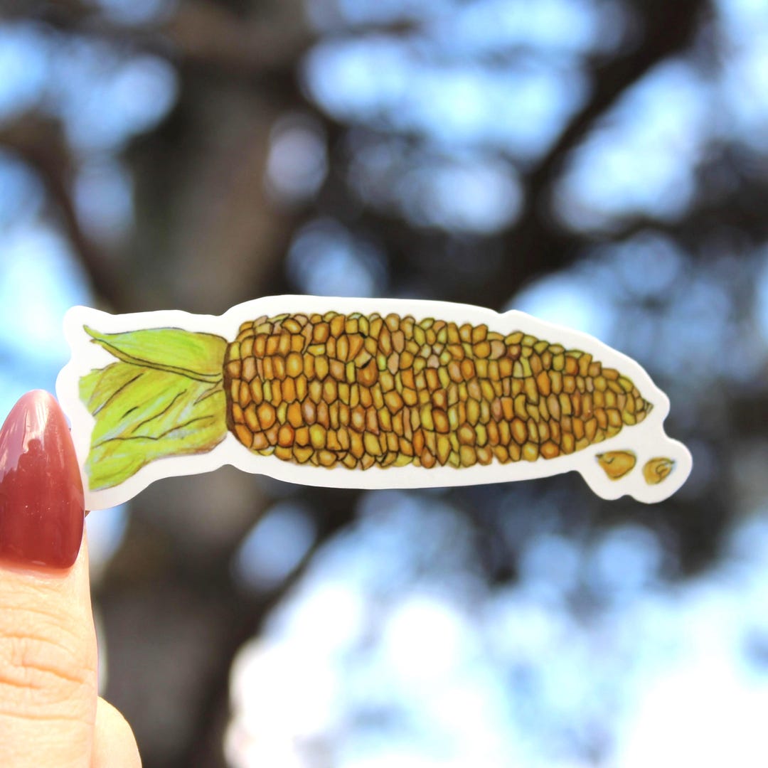 Hand Drawn Corn Vinyl Sticker | Vegetable Decal - Etsy
