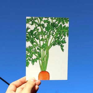 May include: A hand-held illustration of a carrot against a bright blue sky. The carrot is depicted with a vibrant orange root, a green stem, and detailed green leaves. The artwork is on a white rectangular card.