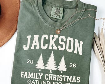Personalized Family Christmas Shirt, Custom Family Name Tee, Christmas Vacation Shirt, Comfort Colors Holiday Tee, Christmas Trip Shirt