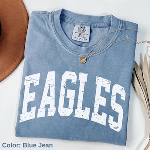 Vintage Eagles Shirt, Comfort Colors Eagles Shirt, College Spirit Eagle Mascot shirt, Teacher Gameday Shirt, Tailgate Football Tee