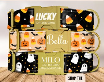 Candy Corn Dog Collar, Personalized Dog Collar with Name, Engraved Custom Dog Collar, Halloween Puppy Dog Collar, Matching Leash, Pet ID