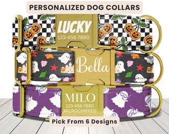 Summerween Dog Collar, Personalized Dog Collar, Summer Dog Collar, Engraved Name Collar, Cute Girl Puppy Collar, Halloween Collar, Leash