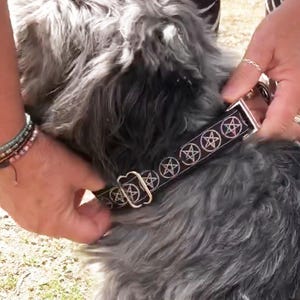 May include: A black dog collar featuring a repeating pattern of white pentagrams. The collar includes a silver-toned metal buckle and an adjustable sliding hardware piece, secured around the neck of a grey-furred dog with long, textured hair.