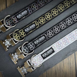 May include: Four pet collars with metallic buckles featuring a skull charm. Three collars are black with repeating pentagram patterns in iridescent, gold, and white thread. One collar is white with iridescent pentagrams. Each has a Rebelhound label.