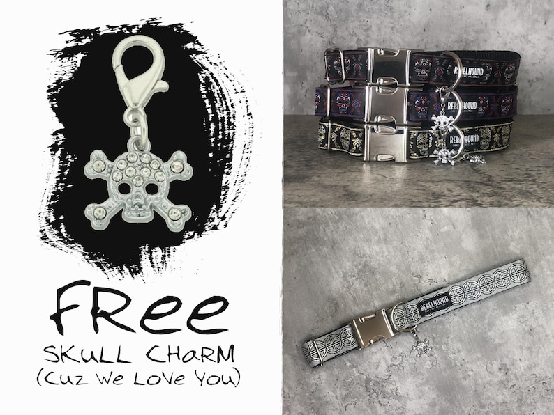 May include: A silver-toned skull charm with embedded clear rhinestones and a lobster clasp, accompanied by three stacked pet collars featuring skull patterns and metal buckles, plus one additional grey patterned collar with a metal buckle.