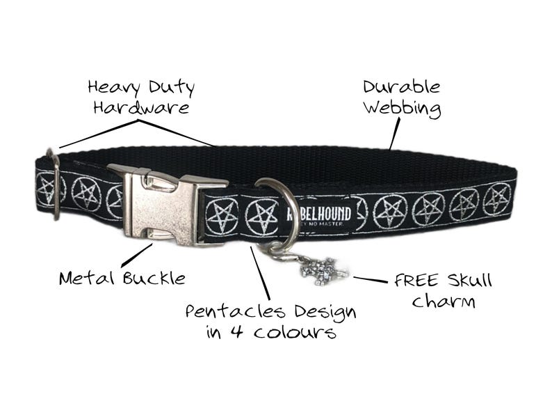 May include: A black pet collar featuring a repeating white pentacle pattern, a silver metal buckle, heavy-duty hardware, and a small skull charm. The webbing is labeled as durable, and the text REBELHOUND NO MASTER is printed on the fabric.