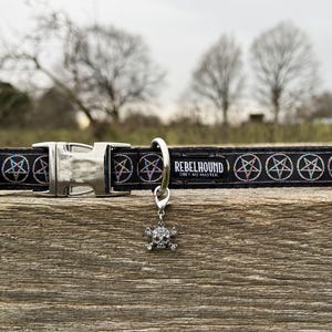 May include: A black pet collar featuring a repeating iridescent pentagram pattern, a silver-toned metal buckle, and a D-ring. A dangling charm shaped like a skull and crossbones with clear crystals is attached. The text REBELHOUND OBEY NO MASTER is printed.