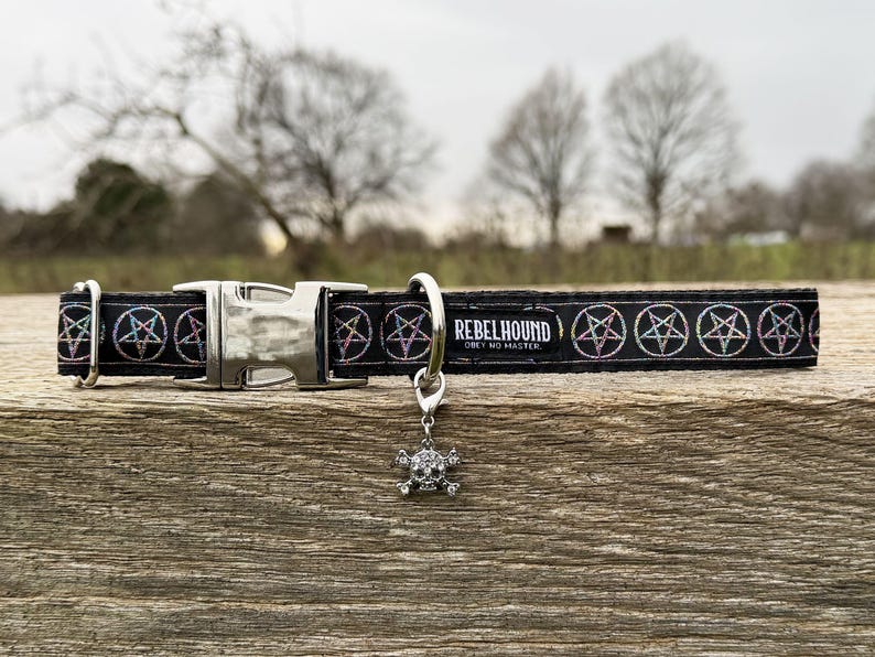 May include: A black pet collar featuring a repeating iridescent pentagram pattern, a silver-toned metal buckle, and a D-ring. A dangling charm shaped like a skull and crossbones with clear crystals is attached. The text REBELHOUND OBEY NO MASTER is printed.