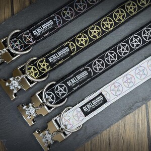 May include: Four pet collars with metallic buckles featuring a skull charm. Three collars are black with repeating pentagram patterns in iridescent, gold, and white thread. One collar is white with iridescent pentagrams. Each has a Rebelhound label.