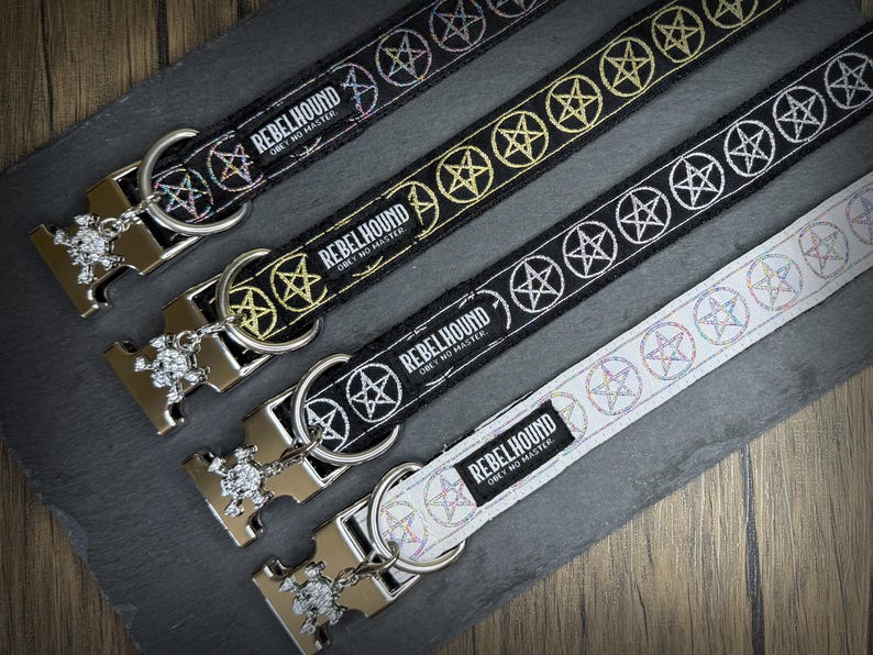 May include: Four pet collars with metallic buckles featuring a skull charm. Three collars are black with repeating pentagram patterns in iridescent, gold, and white thread. One collar is white with iridescent pentagrams. Each has a Rebelhound label.