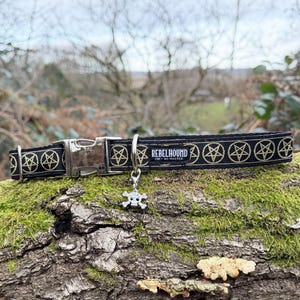 May include: A black pet collar featuring a repeating gold pentagram pattern, a silver-toned metal side-release buckle, and a silver skull charm. A black fabric label is stitched onto the collar with the white text REBELHOUND OBEY NO MASTER.