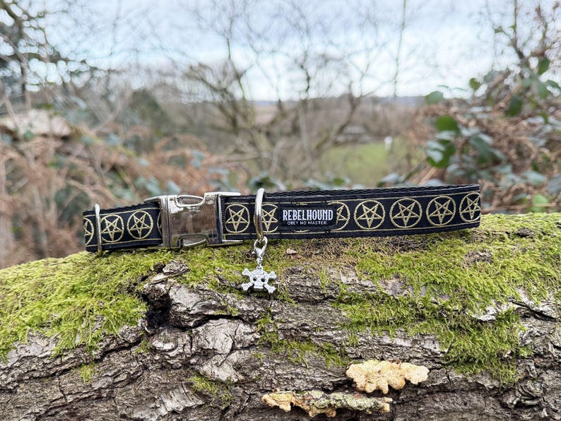 May include: A black pet collar featuring a repeating gold pentagram pattern, a silver-toned metal side-release buckle, and a silver skull charm. A black fabric label is stitched onto the collar with the white text REBELHOUND OBEY NO MASTER.