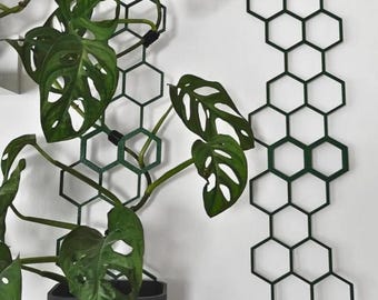 Extendable Plant Trellis | 3D Printed, Hexagon or Bubble