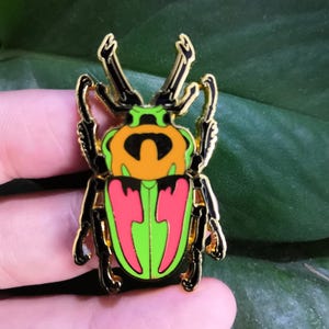 Phalacrognathus mulleri Rainbow beetle Insect Enamel Collection Badge Pin Celestial Beetle Bug Entomology