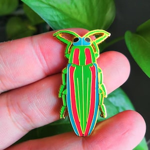 Juwel Käfer Chrysochroa Fulgidissima Insekt Emaille Sammlung Abzeichen Pin Himmlischer Käfer Käfer Entomologie