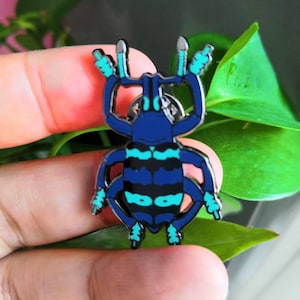 Eupholus magnificus blue metallic weevil  Insect Enamel Collection Badge Pin Celestial Beetle Bug Entomology