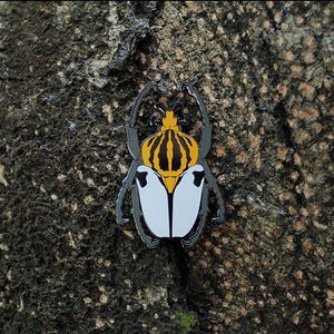 Yellow Goliathus goliatus Goliath Beetle Insect Enamel Collection Badge Pin Celestial Beetle Bug Natural Entomology