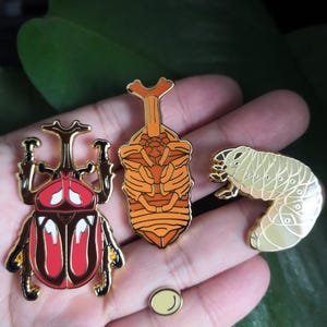 Rhino beetle Allomyrina dichotoma Japanese rhinoceros Insect Enamel Collection Badge Pin Celestial Beetle Bug Natural Entomology