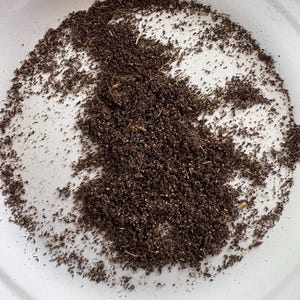 May include: A close-up shot of a white, round, disposable plate filled with a pile of dark brown, granular material. The material appears to be a dried herb or spice, with some lighter-colored flecks mixed in. The plate's rim is visible.